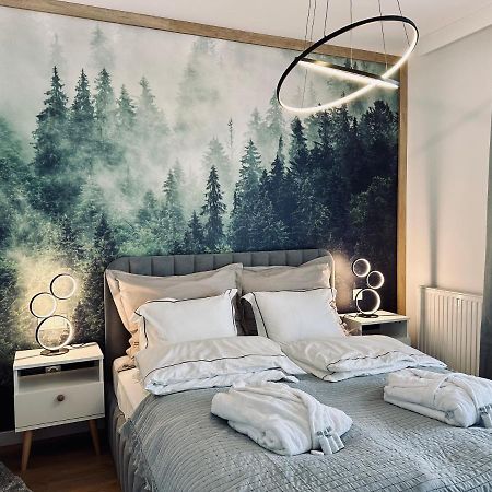 Mountain Shine - Apartment, Spa And Parking Zakopane Buitenkant foto